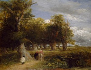Sukně lesa, 1855 od David Cox
