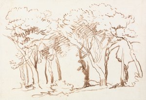 Studium stromů od David Cox