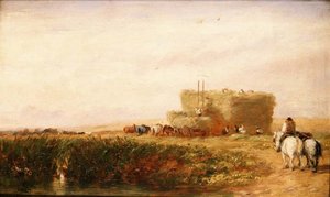 Hayfield od David Cox