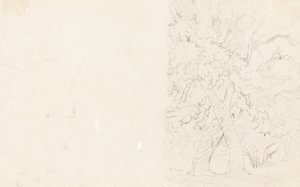 stromy [verso] od David Cox