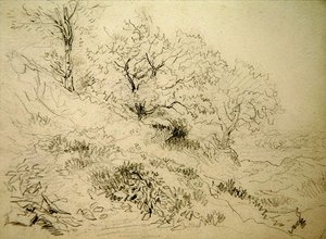 Velšská krajina (křída na papíře) od David Cox