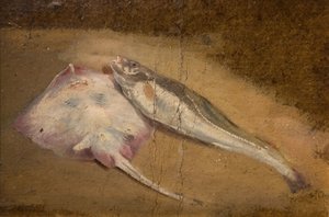Studie o rybách - brusle a treska, 1842.