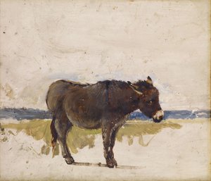 Studie osla, 1841-1843.