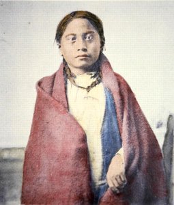 Vraní noha (d.1890) (barevné foto)