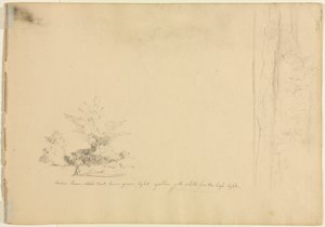 Krajinná a stromová studia verso, c. 1851. od David Johnson