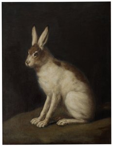 Zajíc od David Klöcker Ehrenstrahl