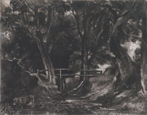 A Dell, Helmingham Park, Suffolk, 1830. od David Lucas