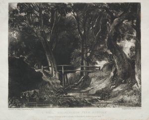 Různé předměty krajiny, charakteristické pro anglické scenérie z obrázků malovaných Johnem Constablem, R.A.: Dell in the Woods of Helmingham Park, Suffolk od David Lucas