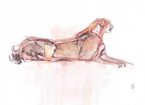 Upozornění na gepardy, 2019 (pastel/akvarel na papíře) od David Mayer
