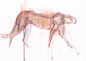 Lov gepardů, 2019 (pastel/akvarel na papíře) od David Mayer