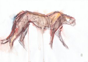 Lov gepardů, 2019 (pastel/akvarel na papíře) od David Mayer
