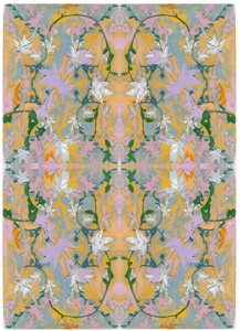 Botanická koláž # 4, 2017 od David McConochie