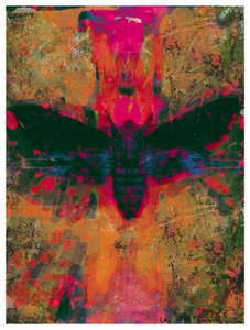 Death Moth Collage, 2016 (koláž na papíře) od David McConochie
