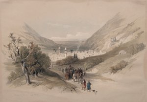 Vjezd do Nábulusu od David Roberts