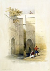 Nilometr na ostrově Al-Rawdah v Káhiře z Egypta a Núbie, svazek 3 od David Roberts