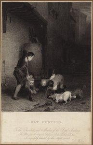 Lovci krys od David Wilkie