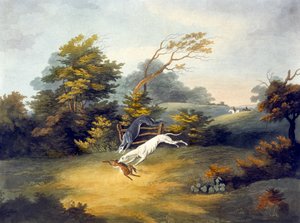 Coursing, deska 4, ryl R.G. Rychtář
