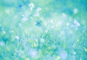 Aqua Butterfly Dream od Delphine Devos