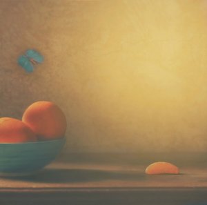 Citrusová mísa a motýl od Delphine Devos