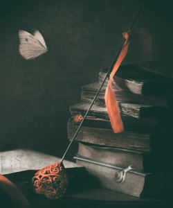 Motýl ve stylu „Dark Academia“