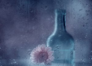 Záhadná deštivá gerbera od Delphine Devos