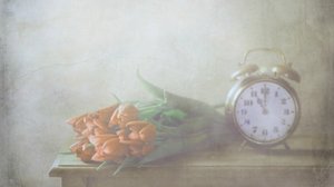 Zázračné tulipány a čas od Delphine Devos