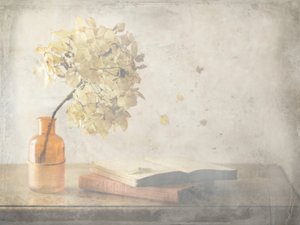 Zbledlé podzimní zátiší od Delphine Devos