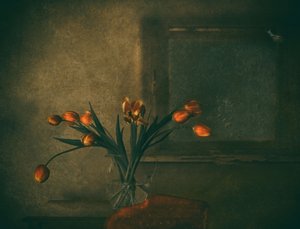 Tulipány v náladové oranžové barvě od Delphine Devos