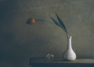 Zátiší s náladovými tulipány od Delphine Devos