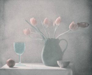 Zátiší s pastelovými tulipány od Delphine Devos