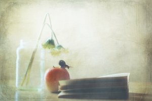 Šnek, jablko, tichá chvilka od Delphine Devos