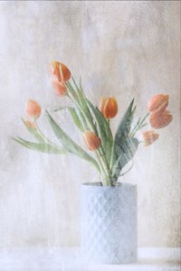  od Delphine Devos