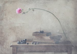 Vintage Books a Bloom od Delphine Devos