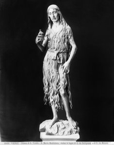 Podporováno Santa Maria (Wood)