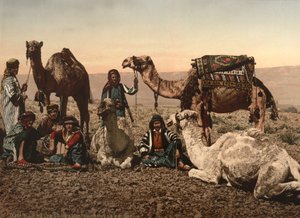 Velbloudi se zastavují v poušti, Svatá země, kolem roku 1890 (fotomechanický tisk) od Detroit Photographic Co.
