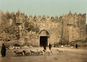 Damašská brána, Jeruzalém, Svatá země, kolem 1890-1900 (fotochromovaný tisk)