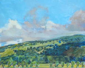 Calif Hills, 2006 (pastel na papíře)