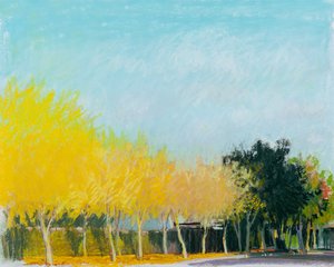 Slunečná strana, 2015 (pastel na papíře)