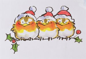 Christmas Robins (inkoust a wc na papíře)