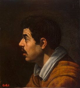 Hlava muže v profilu, c. 1616-1617 od Diego Velázquez
