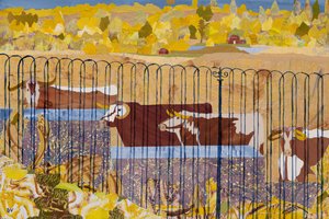 Durstige Longhorns, heißer Sommer von Dione Verulam