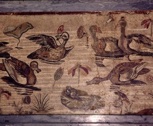 Římská mozaika z Pompejí kachen a žab ve vodní zahradě, 1. století od Dioscurides of Samos