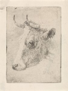 Hlava býka od Dirk van Oosterhoudt