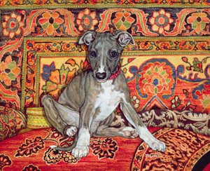 My Whippet Baby, 1994 od Ditz