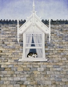 St.Helier Dormer Cat od Ditz