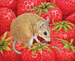 Strawberry-Mouse, 1995 (akryl na panelu) od Ditz