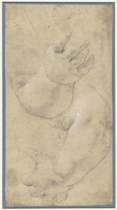 Studie dvou dětských paží od Domenichino