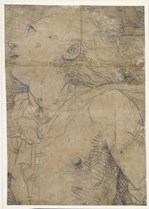 Mladík vzhlížející vzhůru (polopostava), fragment kartonu od Domenico Beccafumi