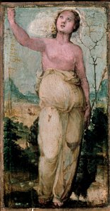 Ženská postava. Obraz Domenica Beccafumiho (1486-1551). Siena, konzervatoř od Domenico Beccafumi
