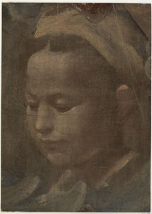 Hlava mladé ženy od Domenico Beccafumi